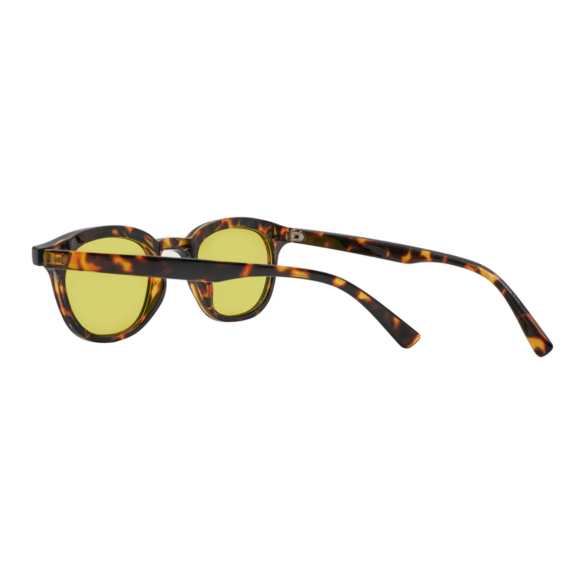 Classic Tortoise Shell Eyewear