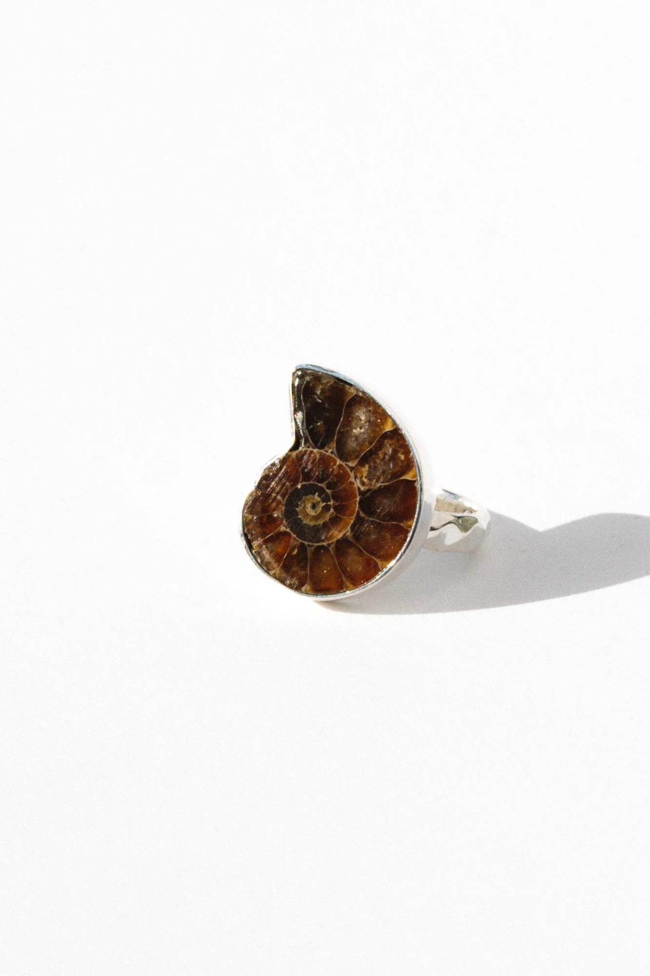 Exquisite Ammonite Ring